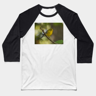 Pine warbler on a branch Baseball T-Shirt